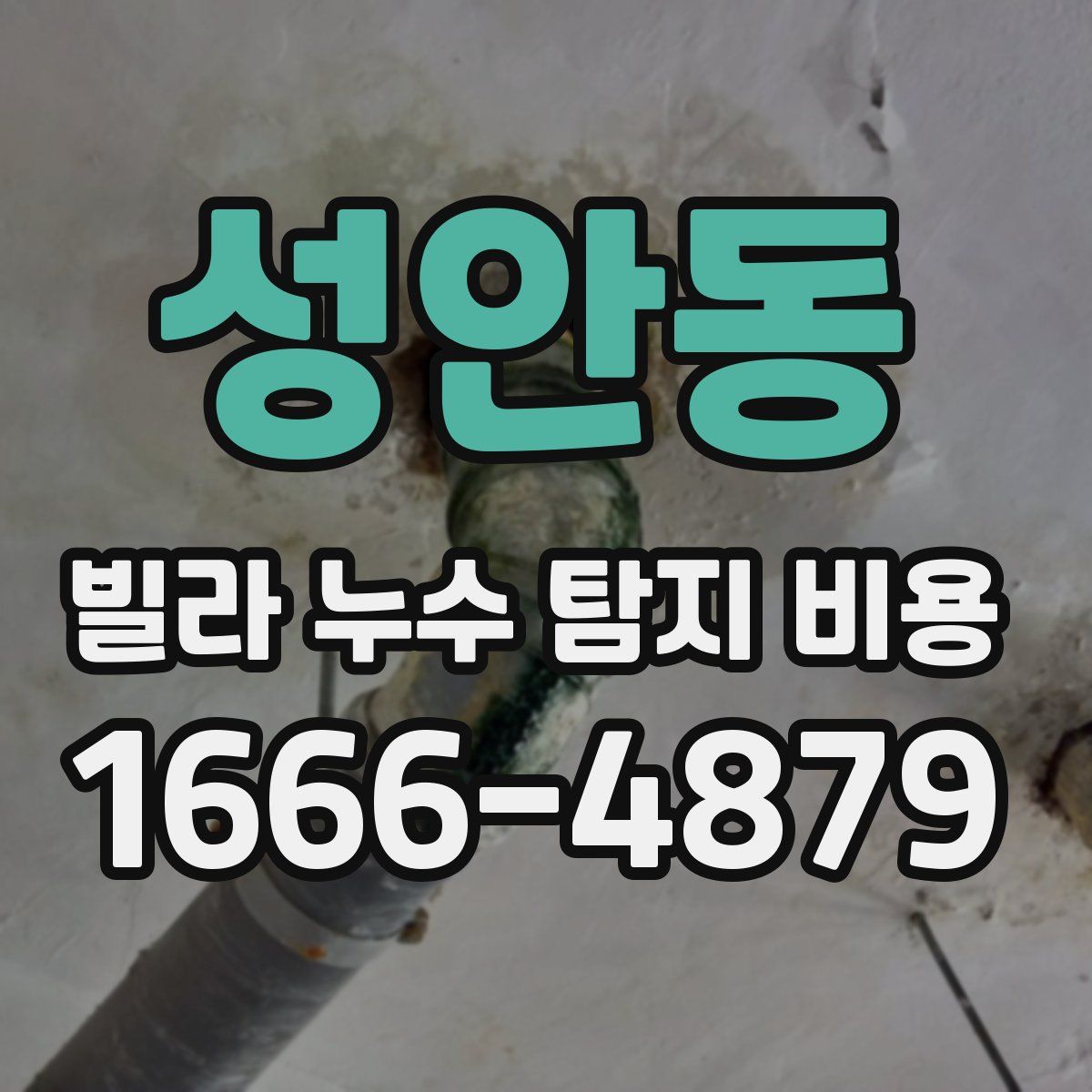 성안동 빌라 누수 탐지 비용