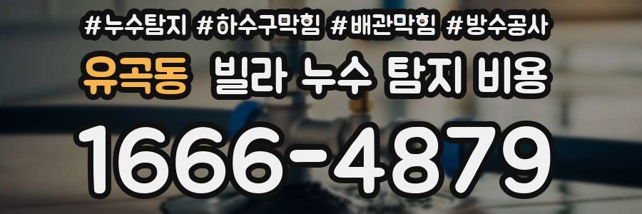 유곡동 빌라 누수 탐지 비용