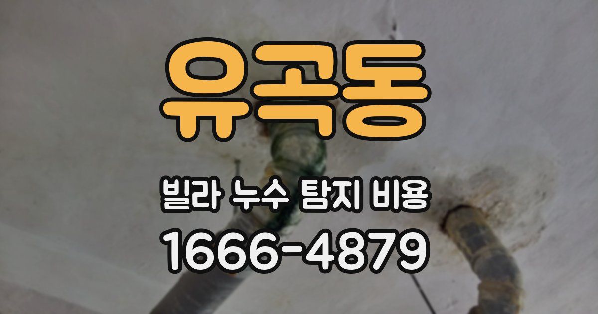 유곡동 빌라 누수 탐지 비용