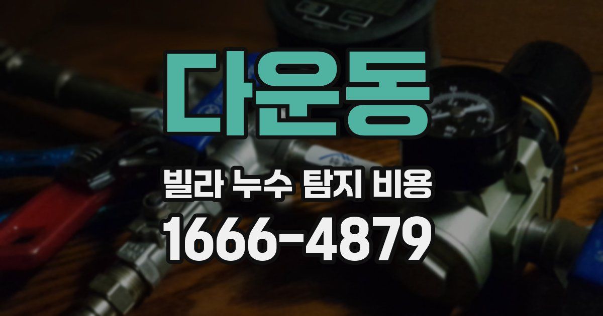다운동 빌라 누수 탐지 비용
