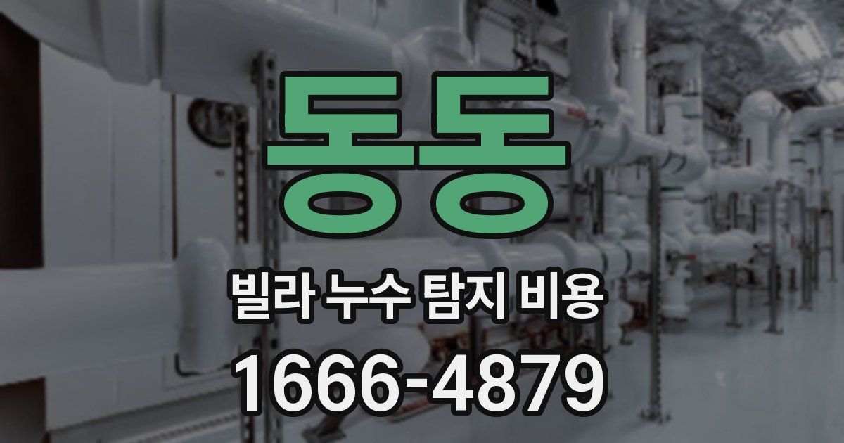 동동 빌라 누수 탐지 비용