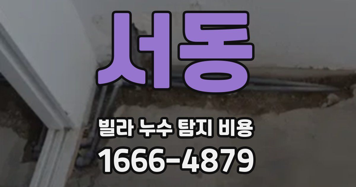 서동 빌라 누수 탐지 비용