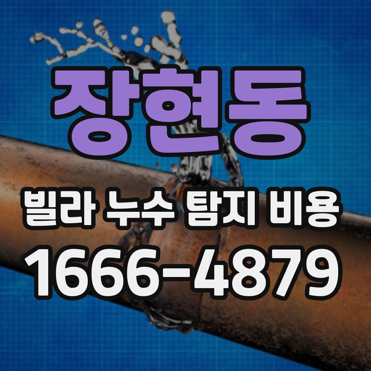 장현동 빌라 누수 탐지 비용