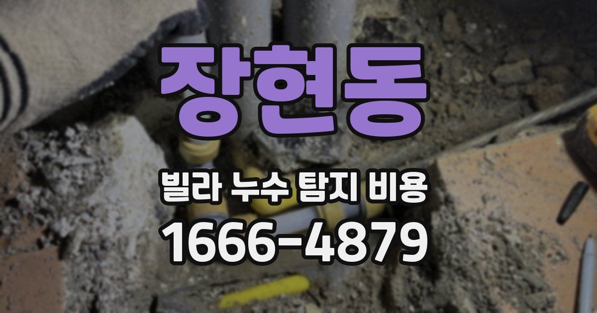 장현동 빌라 누수 탐지 비용