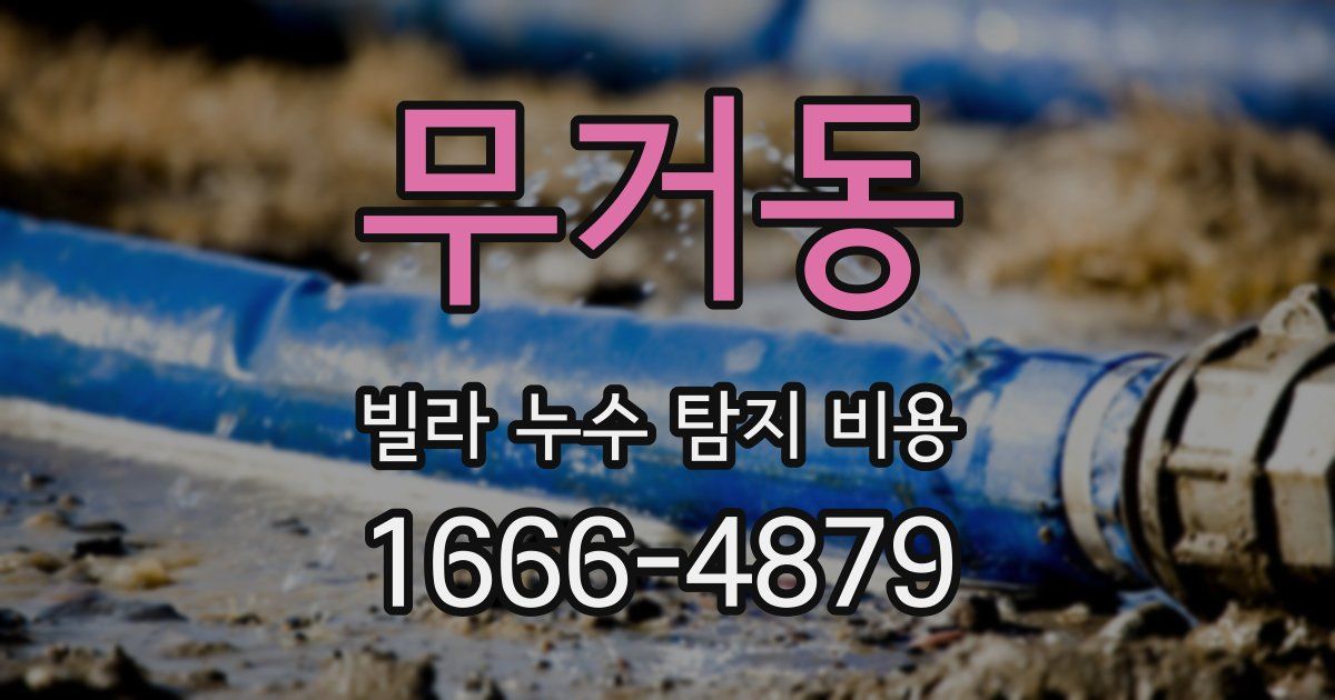 무거동 빌라 누수 탐지 비용