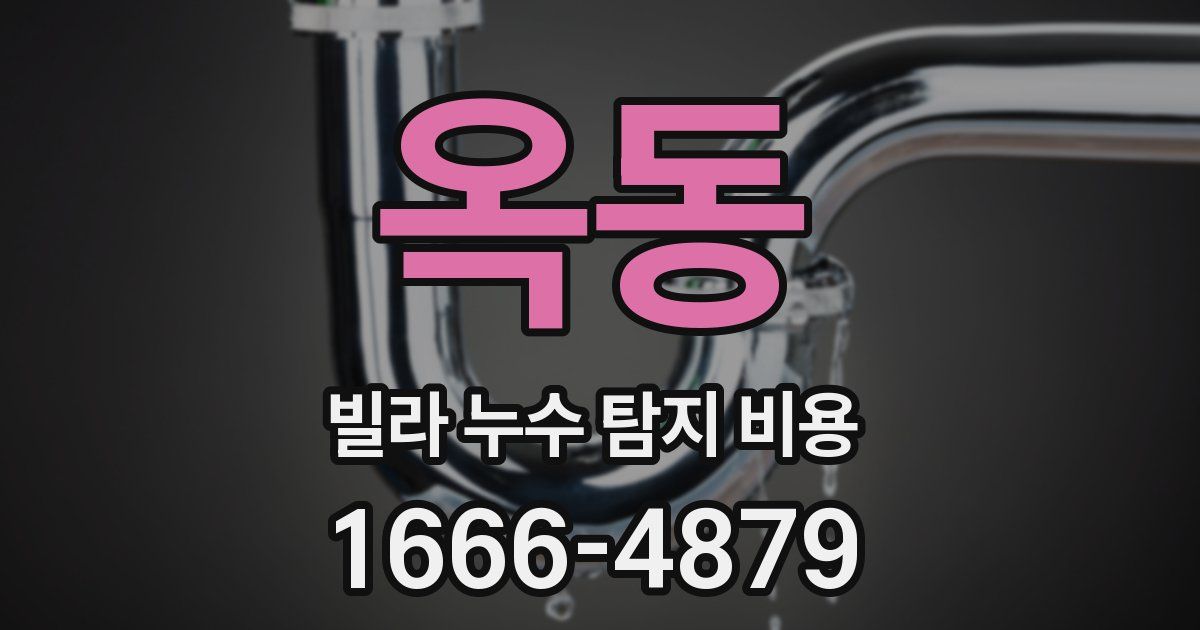 옥동 빌라 누수 탐지 비용