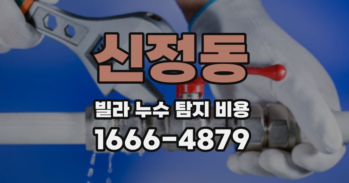 신정동 빌라 누수 탐지 비용