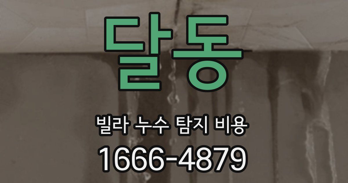 달동 빌라 누수 탐지 비용