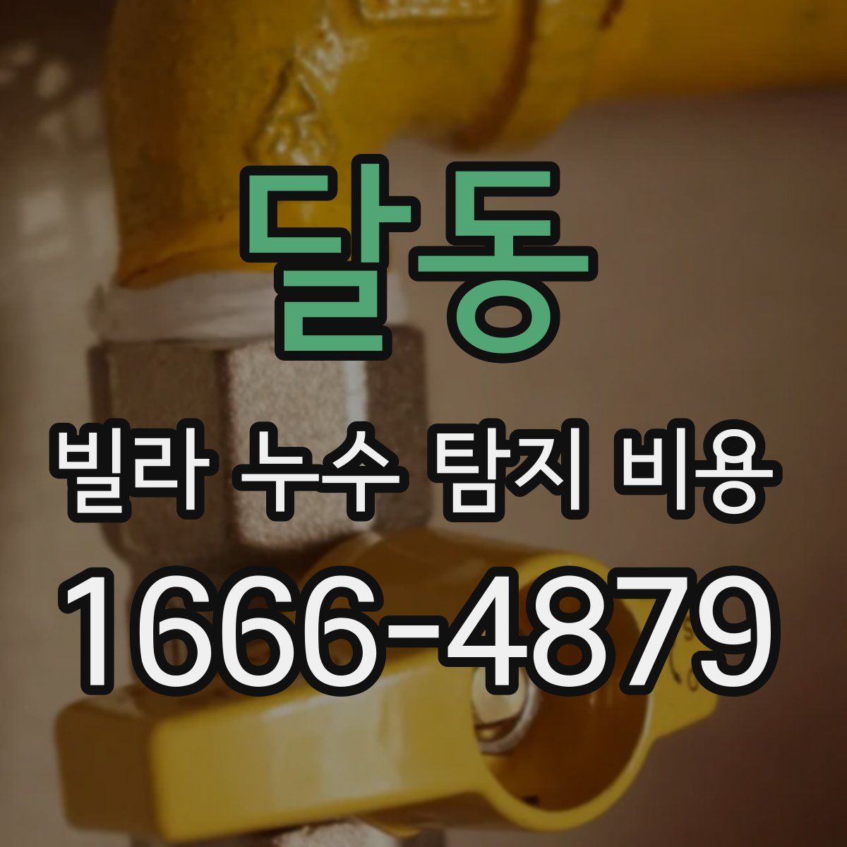 달동 빌라 누수 탐지 비용