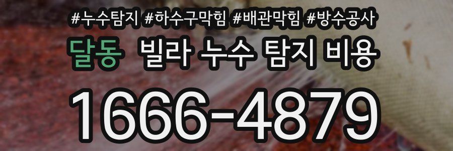 달동 빌라 누수 탐지 비용