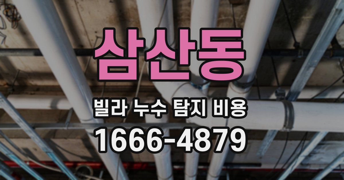 삼산동 빌라 누수 탐지 비용