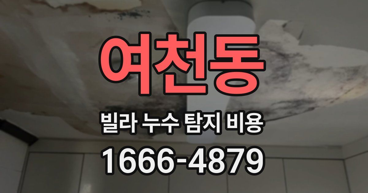 여천동 빌라 누수 탐지 비용