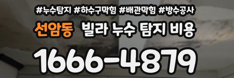 선암동 빌라 누수 탐지 비용