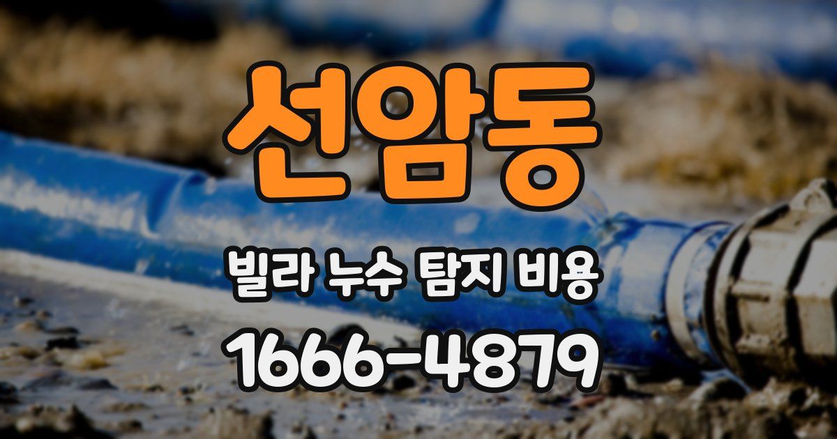 선암동 빌라 누수 탐지 비용