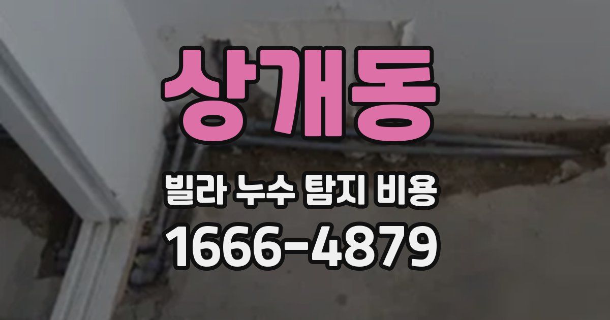 상개동 빌라 누수 탐지 비용