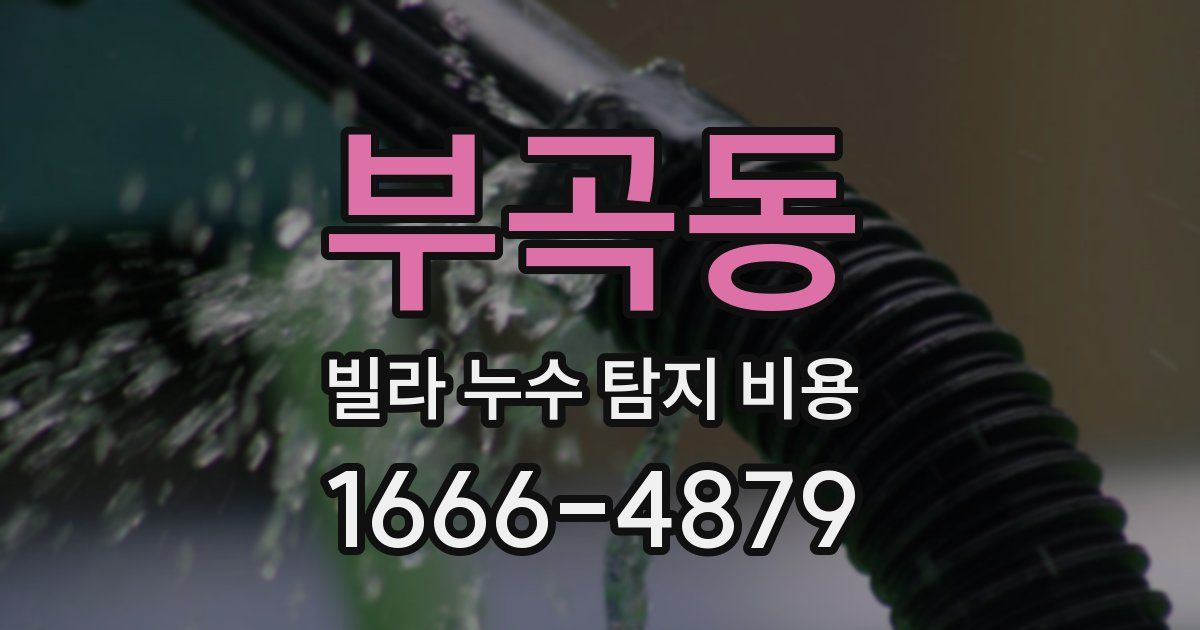 부곡동 빌라 누수 탐지 비용