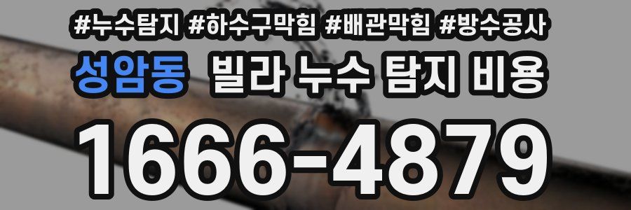 성암동 빌라 누수 탐지 비용