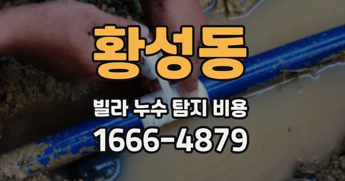 황성동 빌라 누수 탐지 비용