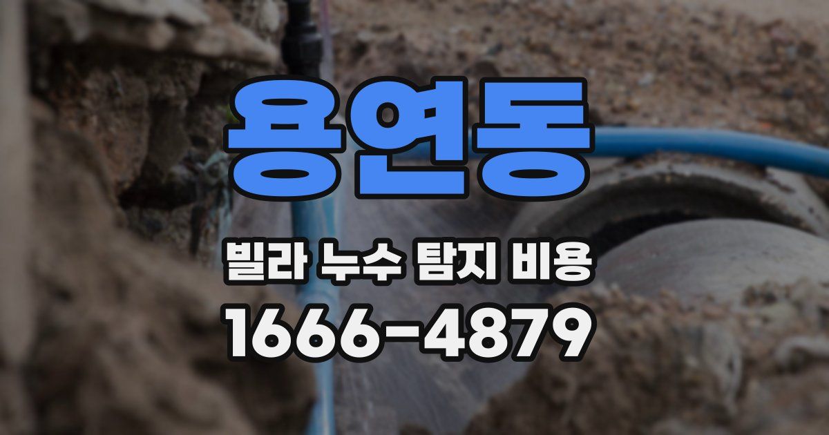 용연동 빌라 누수 탐지 비용