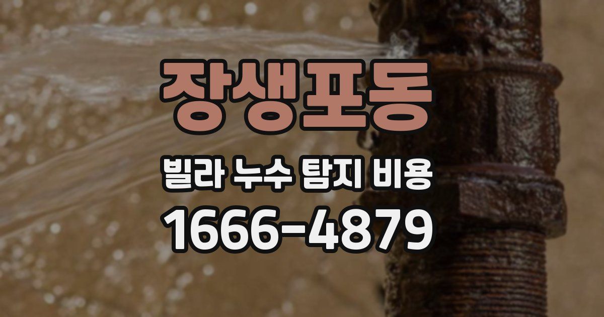 장생포동 빌라 누수 탐지 비용