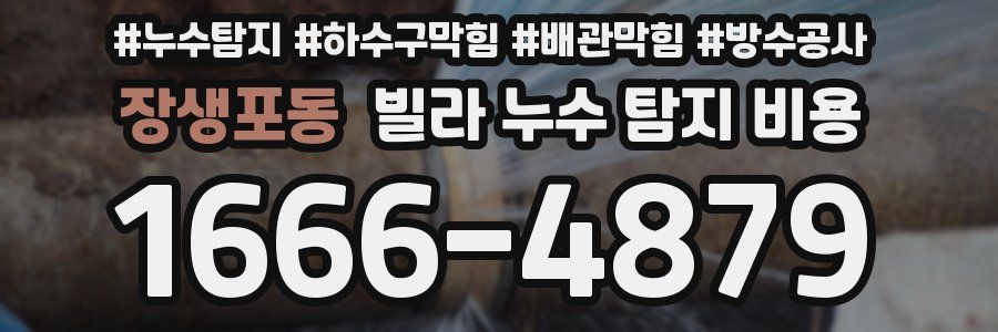 장생포동 빌라 누수 탐지 비용
