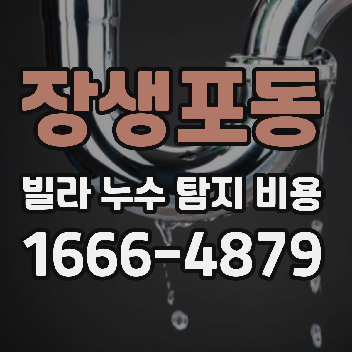 장생포동 빌라 누수 탐지 비용