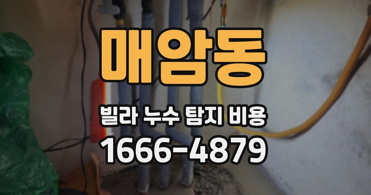 매암동 빌라 누수 탐지 비용