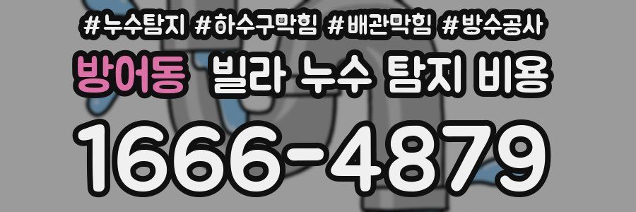 방어동 빌라 누수 탐지 비용