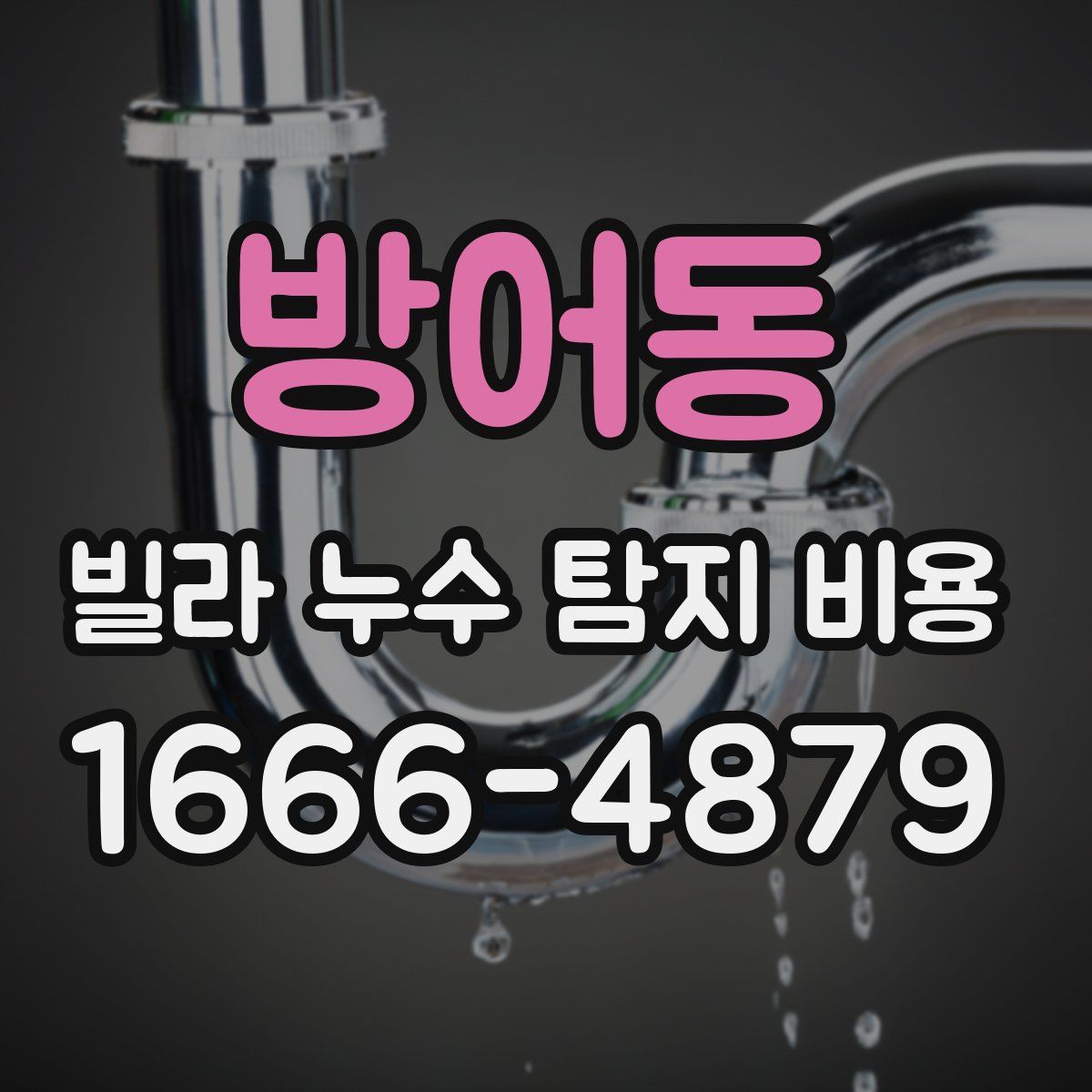 방어동 빌라 누수 탐지 비용