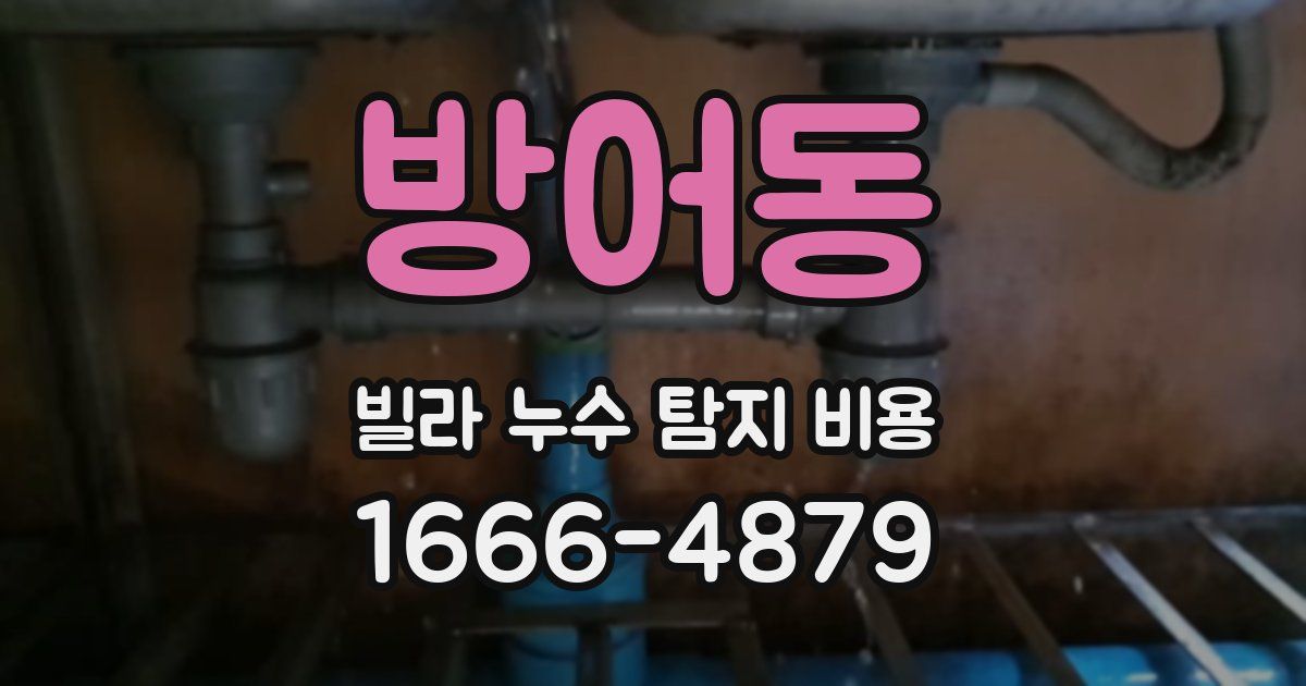 방어동 빌라 누수 탐지 비용