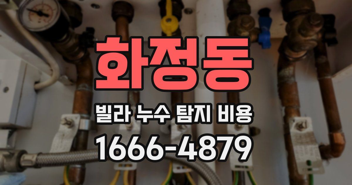 화정동 빌라 누수 탐지 비용