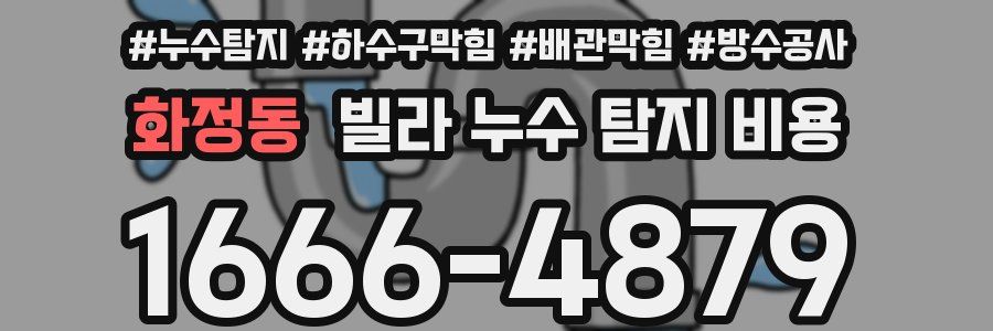화정동 빌라 누수 탐지 비용