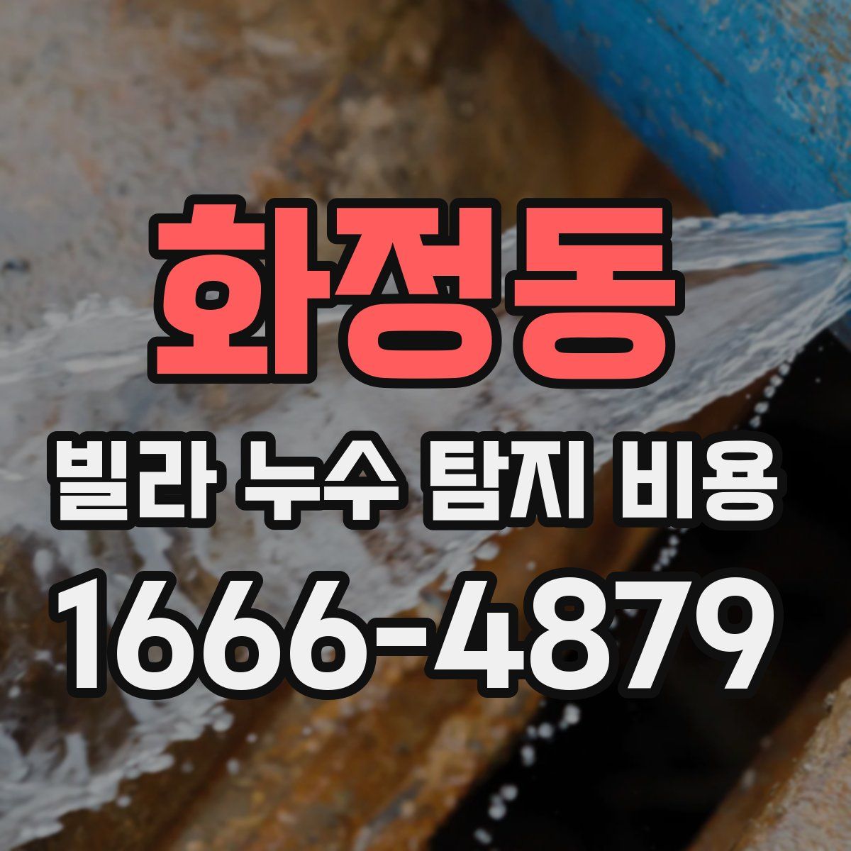 화정동 빌라 누수 탐지 비용