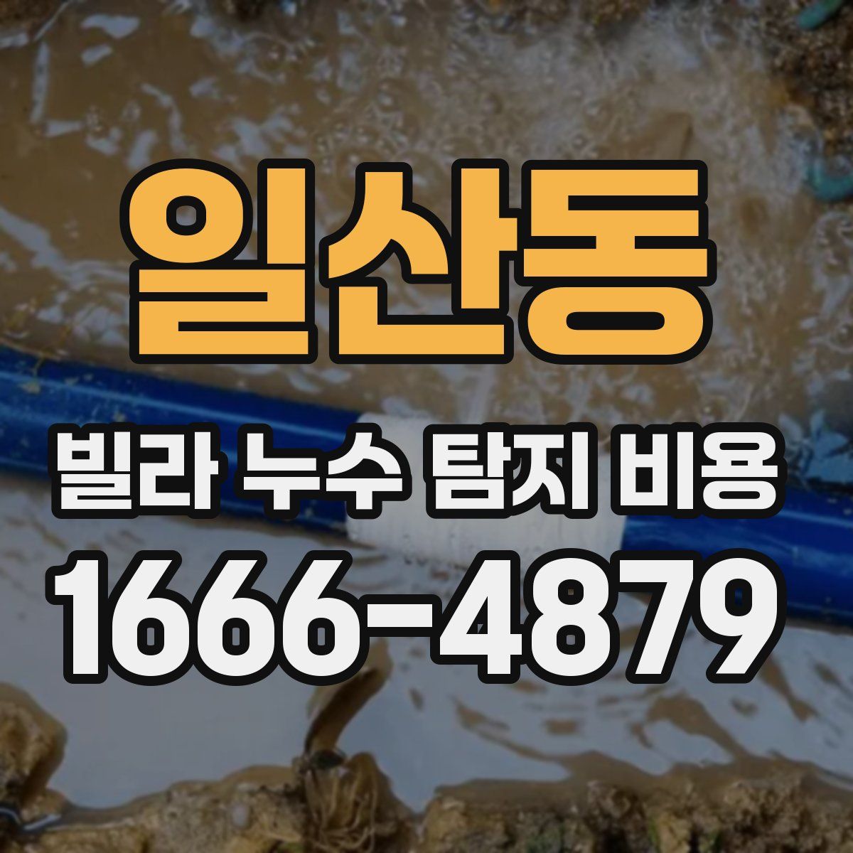 일산동 빌라 누수 탐지 비용