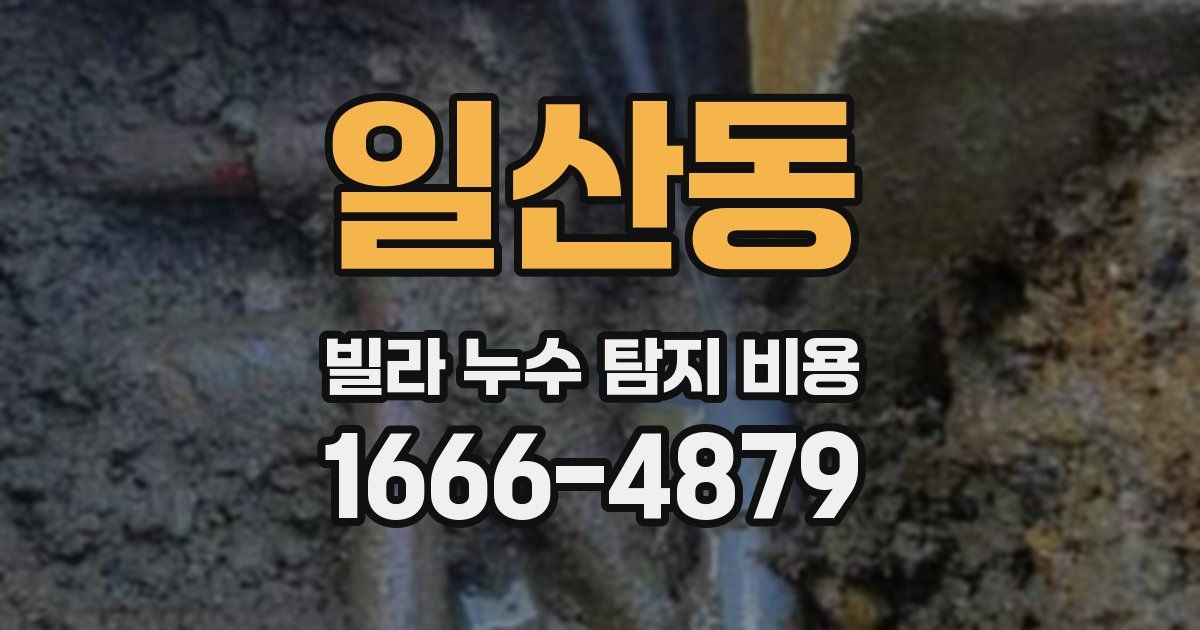 일산동 빌라 누수 탐지 비용