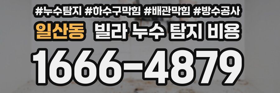 일산동 빌라 누수 탐지 비용