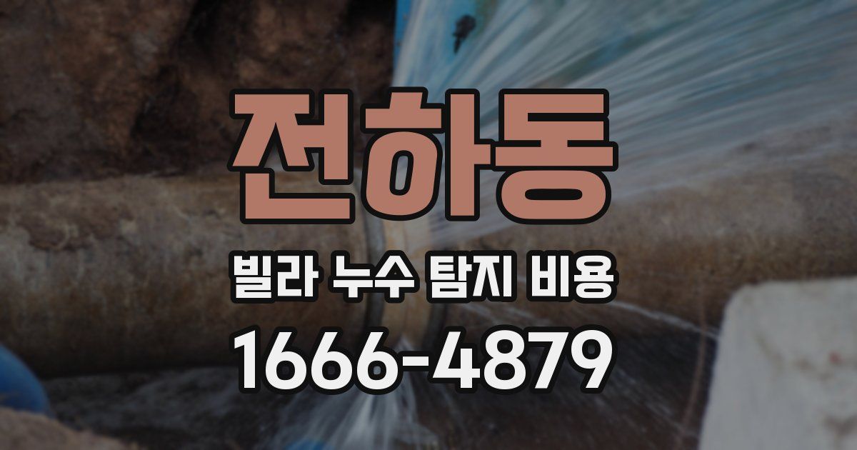 전하동 빌라 누수 탐지 비용