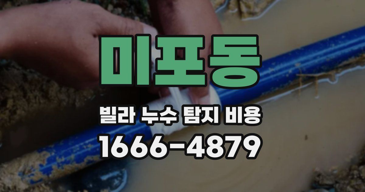 미포동 빌라 누수 탐지 비용