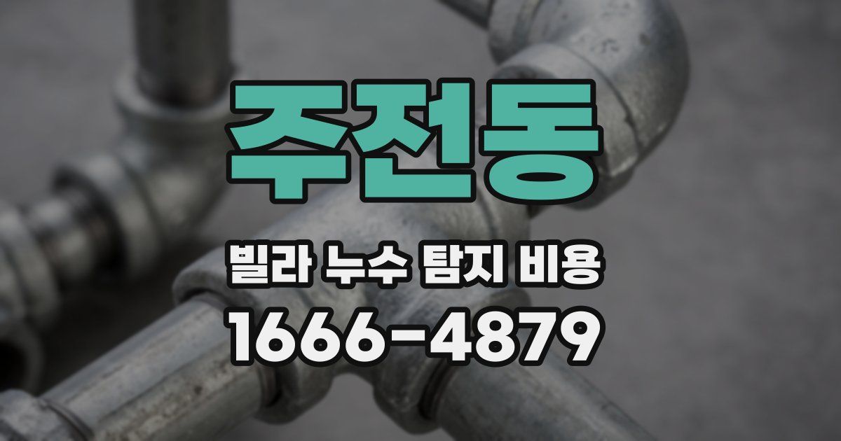 주전동 빌라 누수 탐지 비용