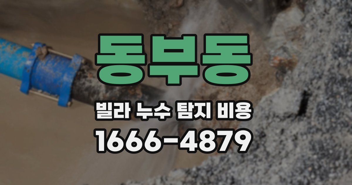 동부동 빌라 누수 탐지 비용