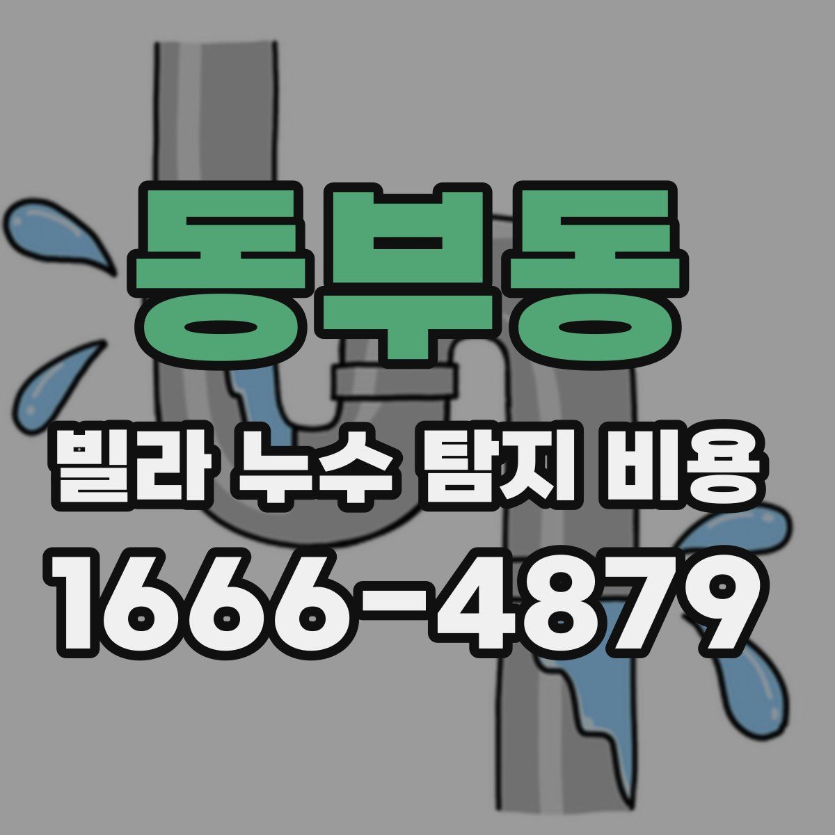 동부동 빌라 누수 탐지 비용