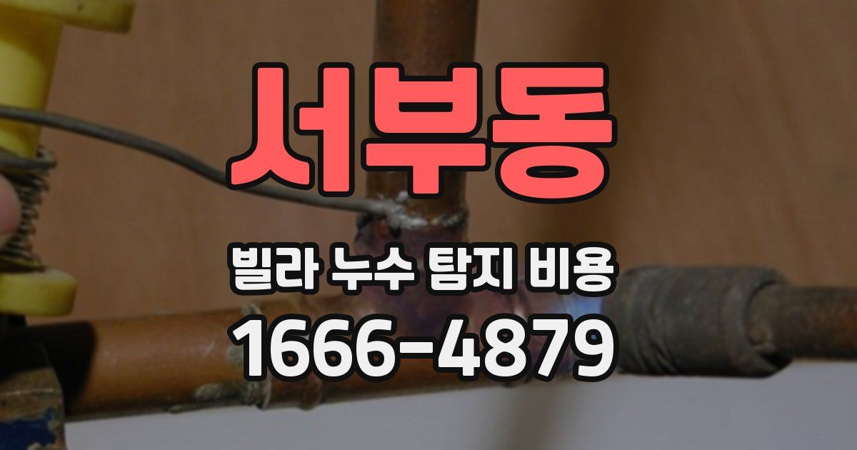 서부동 빌라 누수 탐지 비용
