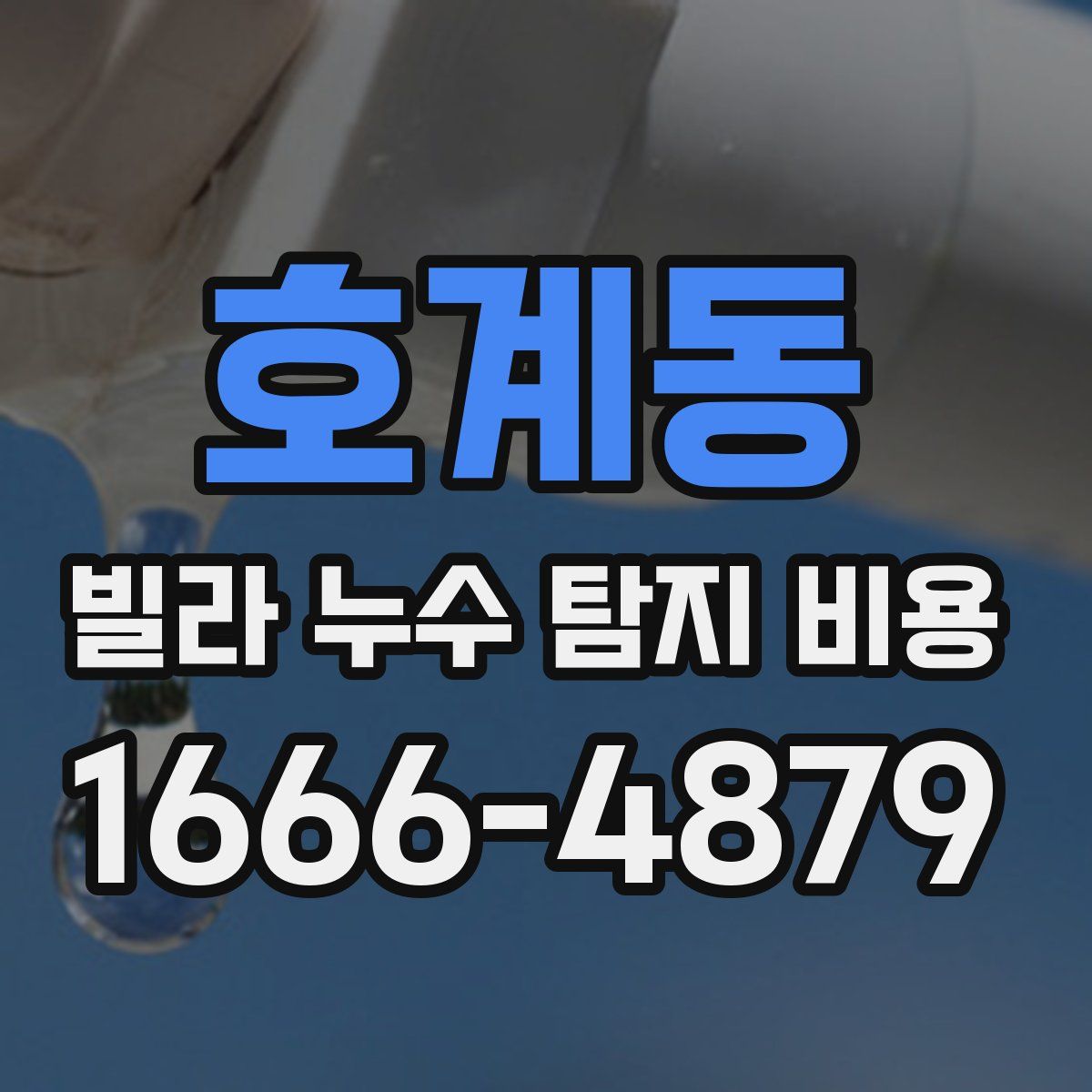 호계동 빌라 누수 탐지 비용