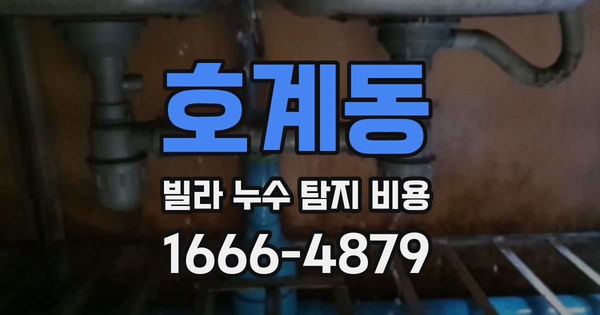 호계동 빌라 누수 탐지 비용