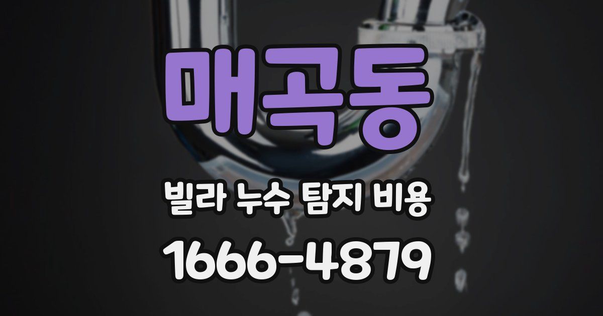 매곡동 빌라 누수 탐지 비용