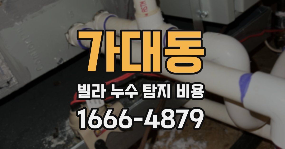 가대동 빌라 누수 탐지 비용