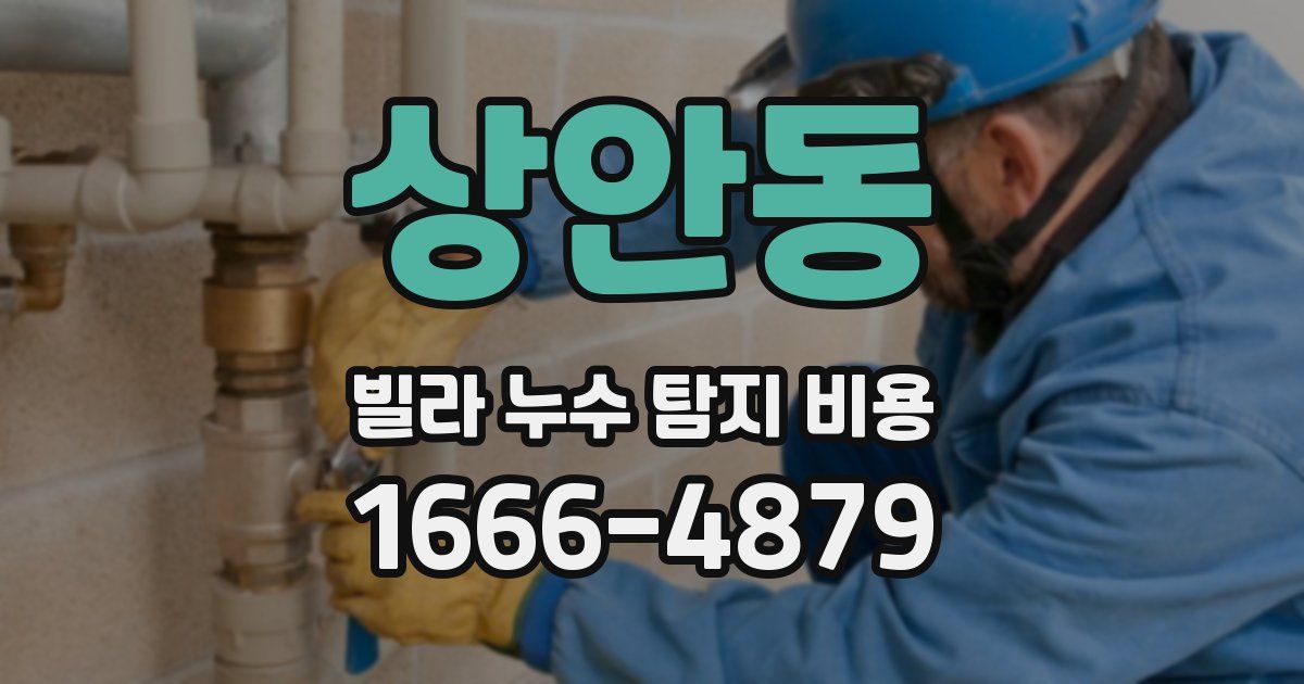 상안동 빌라 누수 탐지 비용