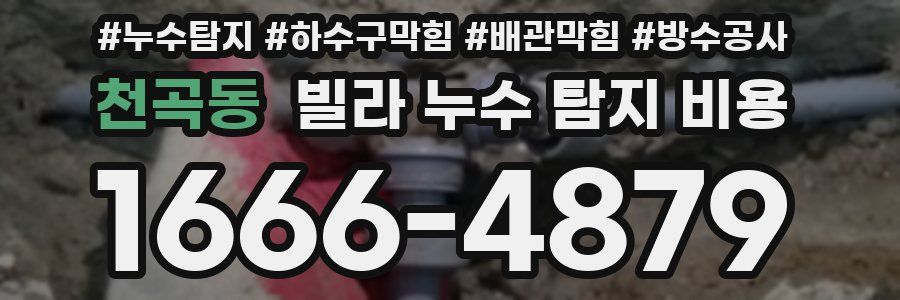 천곡동 빌라 누수 탐지 비용