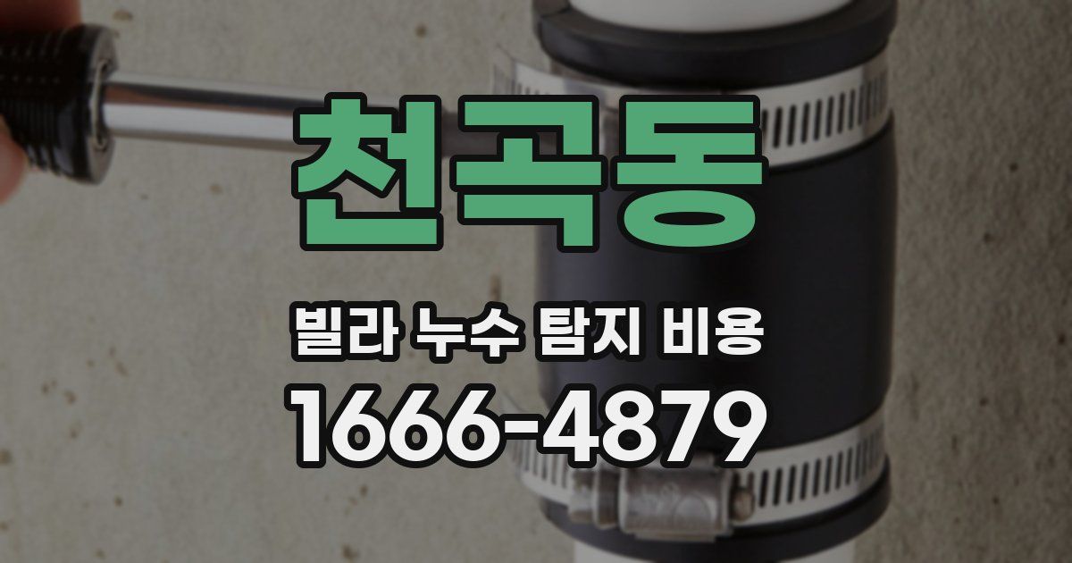 천곡동 빌라 누수 탐지 비용