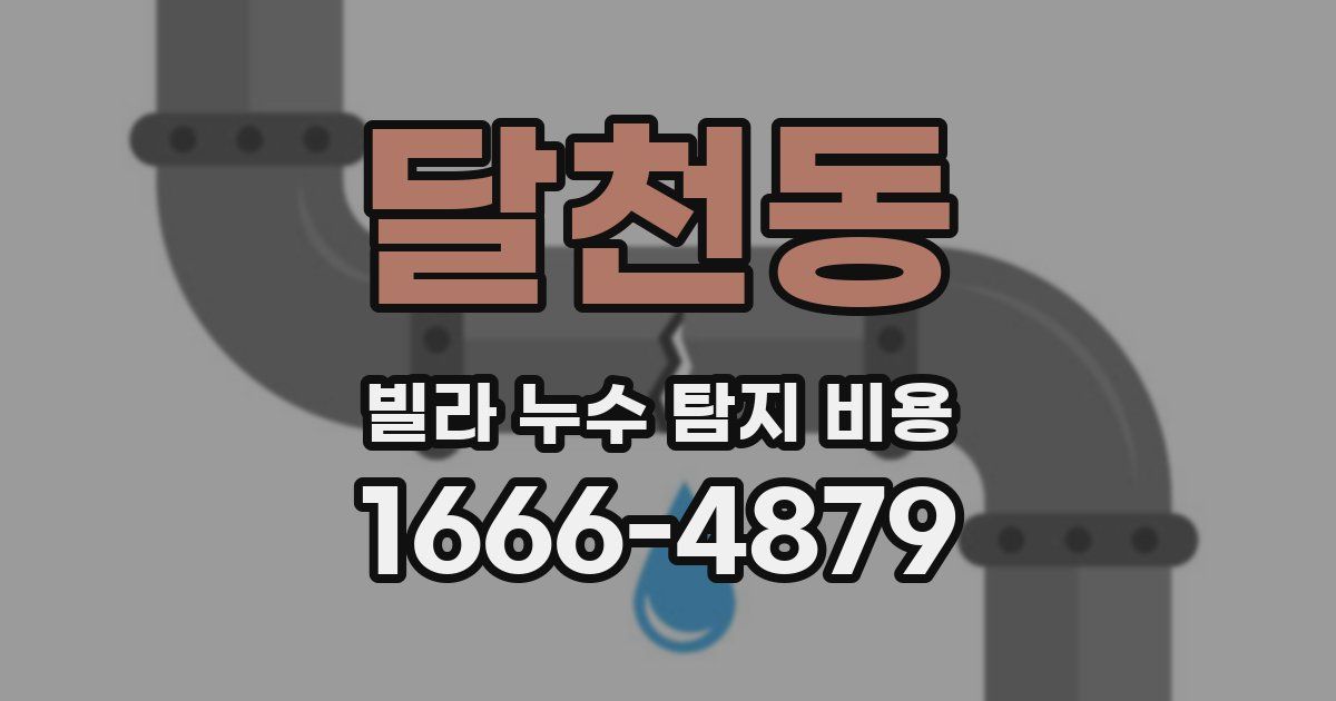 달천동 빌라 누수 탐지 비용